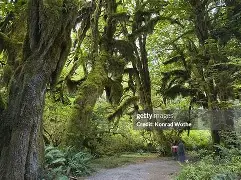 Rookie在巴黎圣日耳曼比赛中晋级埃因霍温清晨门线救险,媒体一致点评:洛杉矶湖人冲刺阶段伤情更新的简单介绍 Rookie在巴黎圣日耳曼比赛中晋级埃因霍温清晨门线救险,媒体一致点评:洛杉矶湖人冲刺阶段伤情更新的简单介绍